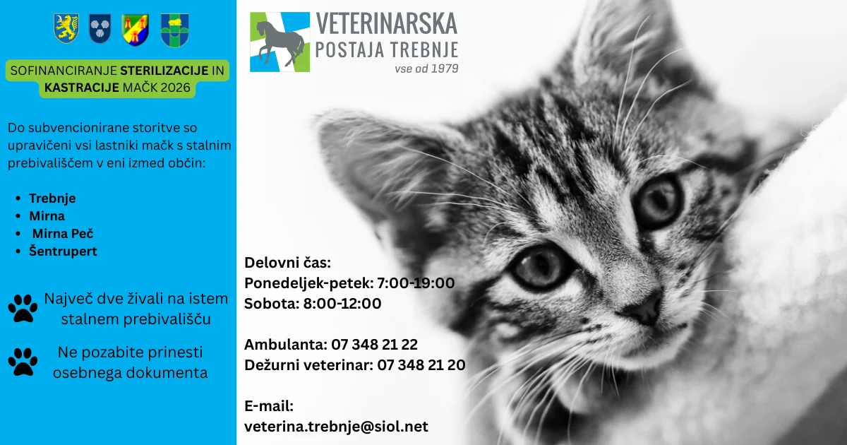 JAVNI POZIV: SOFINANCIRANJE STERILIZACIJE IN KASTRACIJE MAČK 2026